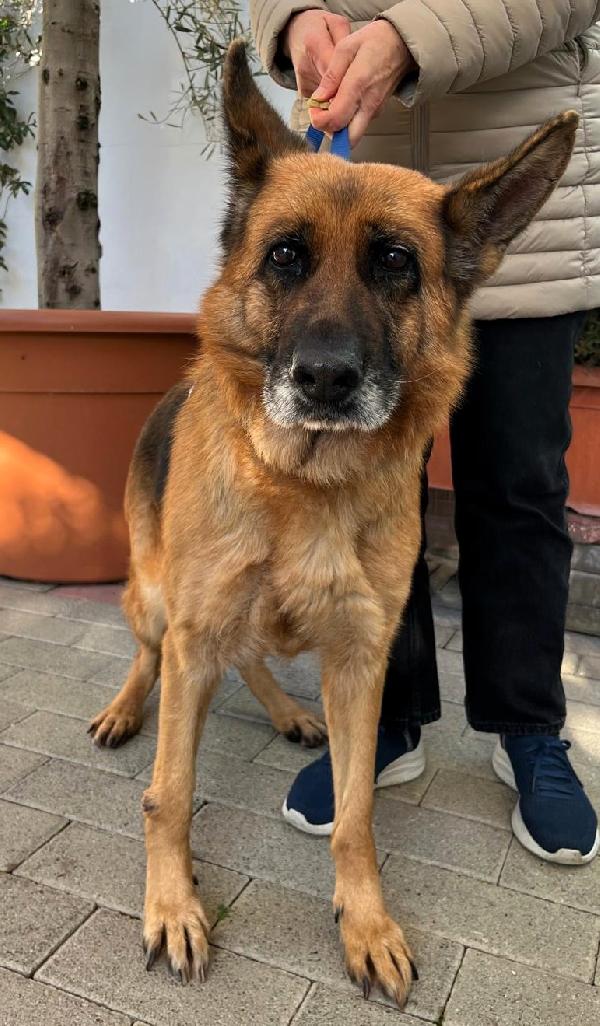 GIANNA PASTORE TEDESCO Foto 6